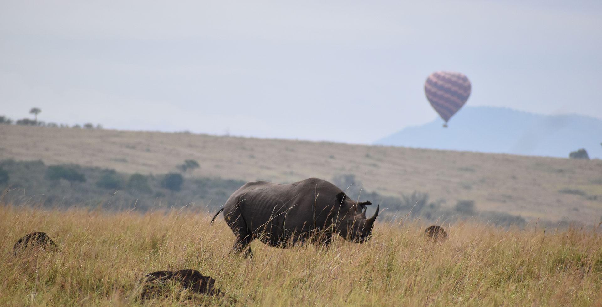 9 Day Kenya and tanzania Adventure